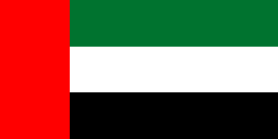 the flag of the United Arab Emirates